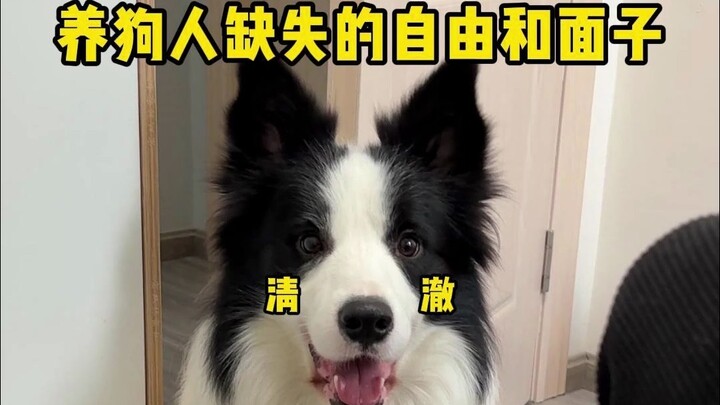 The Freedom and Social Standing Dog Owners Are Missing