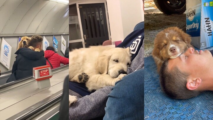 You’ll always be Doggo’s favorite person!!