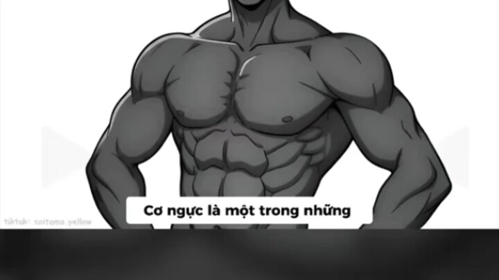 tập ngực