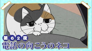 【中日字幕】与猫共度的夜晚/每晚和丘丘在一起 第三季 第62夜「电话另一边的猫猫」