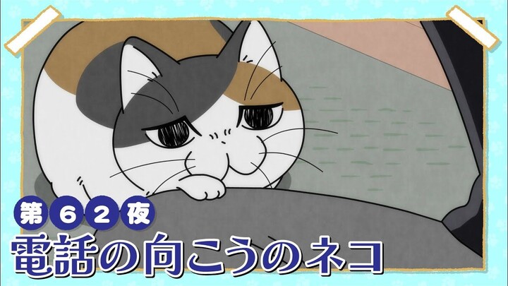 【中日字幕】与猫共度的夜晚/每晚和丘丘在一起 第三季 第62夜「电话另一边的猫猫」