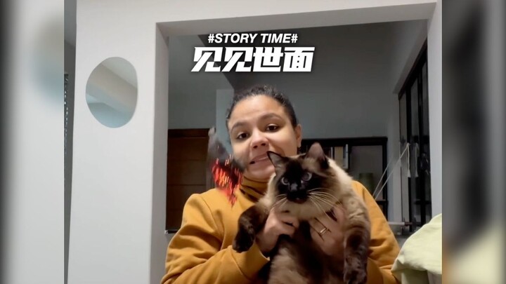 Mengajak kucing kecil melihat dunia luar