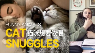 Trời lạnh rồi, hãy ôm mèo một chút đi!