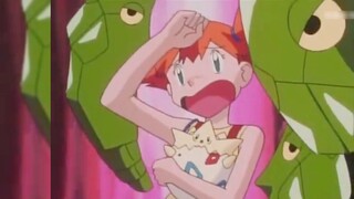 [Pokémon] Xiaoxia hates bug Pokémon. From the original to the sun and moon, her heart has never chan