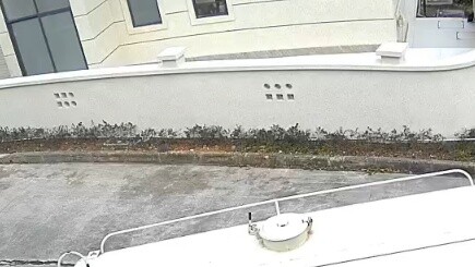 Anda mungkin tidak percaya, tetapi saya tertabrak truk penyiram hari ini.