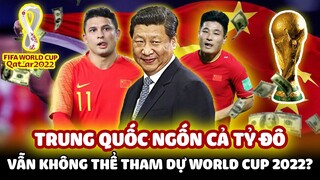 VÌ SAO BÓNG ĐÁ TRUNG QUỐC NGỐN CẢ TỶ ĐÔ MÀ VẪN KHÔNG THỂ THAM DỰ WORLD CUP 2022?