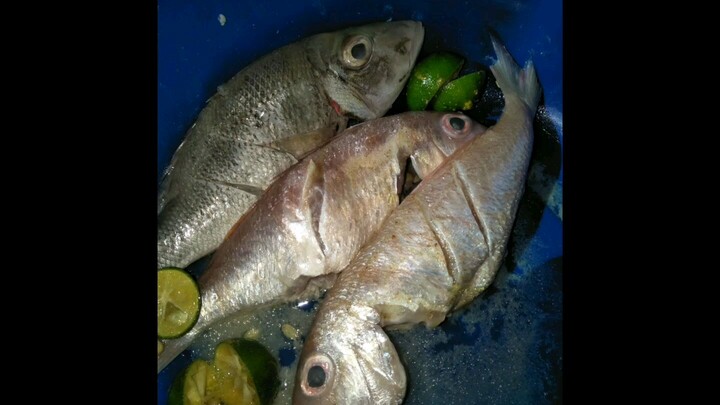 tauco ikan tanpa santan