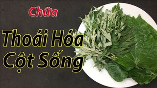 cách chữa thoái hóa cột sống và thoát vị đĩa đệm tại nhà bằng ngải cứu