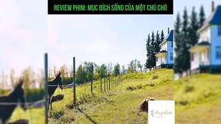 Tóm tắt phim: Mục đích sống của một chú chó p2 #reviewphimhay