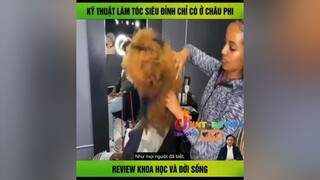 kỹ thuật làm tóc siêu đỉnh ở Châu Phi mereviewphim TVSHOWHAY nntreview2 reviewphimhay onhaxemtin