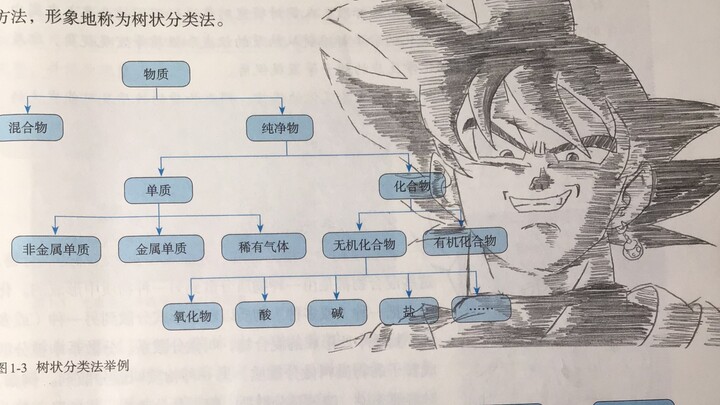 化学老师：阿米诺斯！