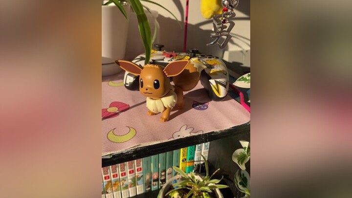 Eevee is adorable 😩eevee anime animefigure pokemon animeroom fypシ fypage foryoupage 4u foryourpage fup fu foryou 4yp fupage fy