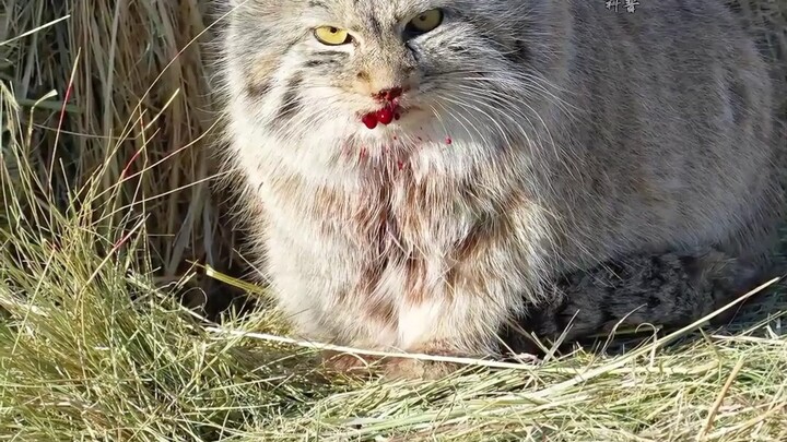 Apakah kondisi ini masih bisa diselamatkan?