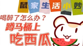What to do if you feel dizzy and uncomfortable after getting drunk? Mrs. Hamster will teach you a wa