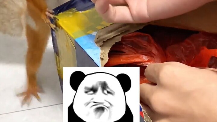 She was swimming a new kind of swimming