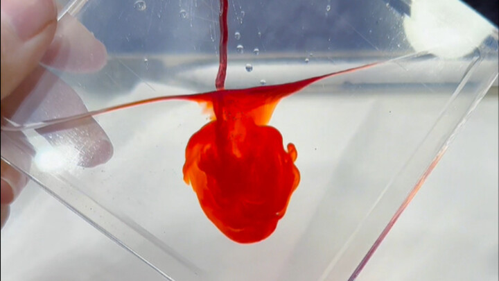 [Liuma Sharing] Blood is the smallest unit of the sea