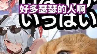 【熟肉】全人类都应该玩碧蓝档案的理由 | 猫meme