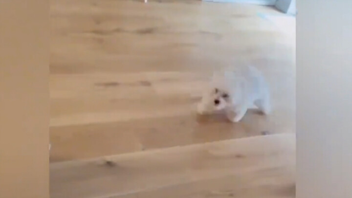 The baby’s playing, and then—bam!