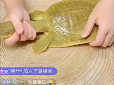 What kind of livestream is this?