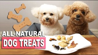 Dogs Review New Treats | Poodle Mom