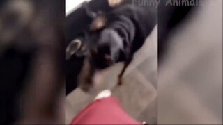 Đỡ không nổi những tình huống khó đỡ #35