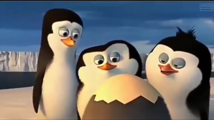 KOMPILASI PINGUIN DUBBING DINOKING EXE