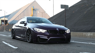 Purple Reign - Daytona Violet M4