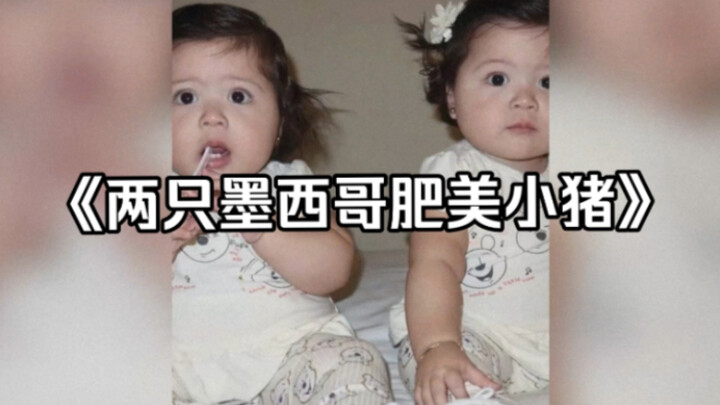 Bộ phim tài liệu huyền thoại quy mô lớn “Hai chú lợn Mexico béo mập”