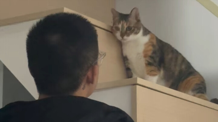 “Lokasi penuh standar ganda ala si kucing kecil!”