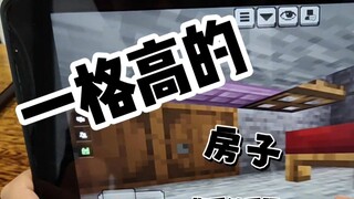 Minecraft ~ A Tiny One-Block-High House