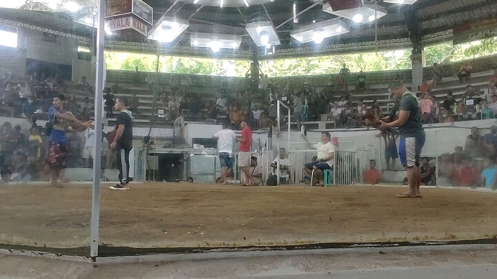 entry name: Gemini 8 @ igay cockpit arena 2023