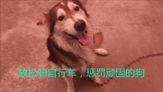 放松骑自行车，惩罚顽固的狗