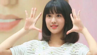 【陈都灵】早期清澈而愚蠢的小兔