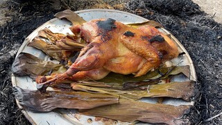 Gà Ủ Trấu Tạm Biệt Năm 2020 Cùng Bố Mẹ và Chị Gái | Hà Còi