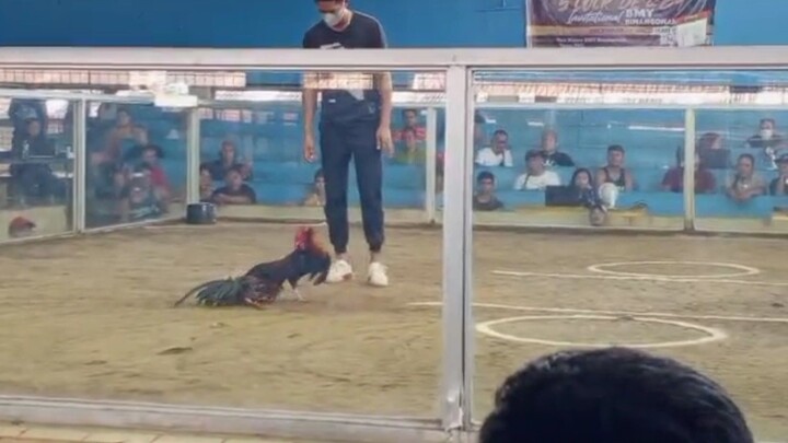 JMJ8 Red 7months At Pasig Square Arena Nice Fight.