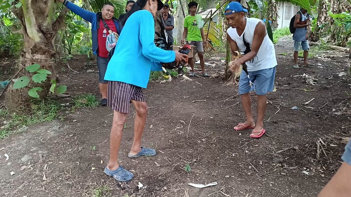 tagalogin vs highbreed