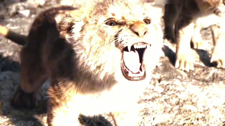 "I am serious about being cool"