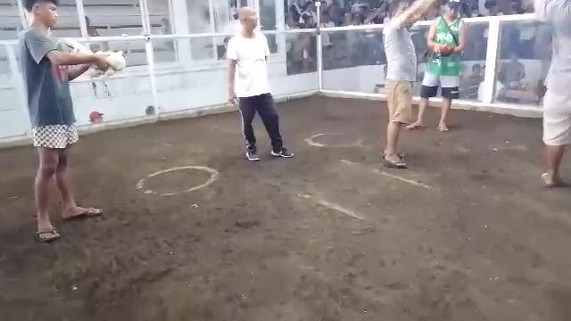 10months old Sinibalang update win mga idol