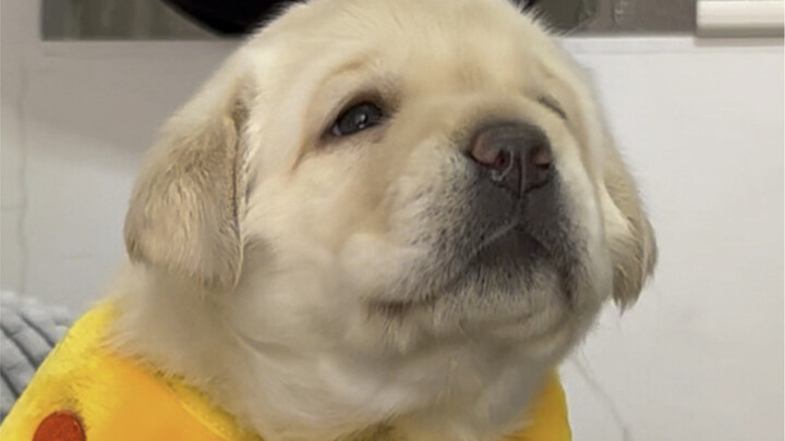 Kenapa beda sama yang aku bayangin?