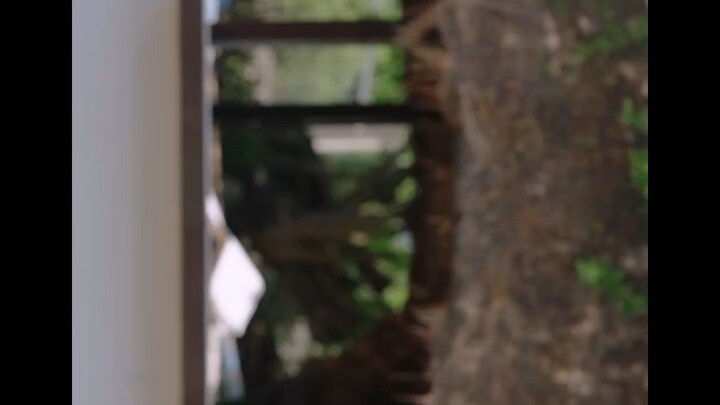 Wedding Video
