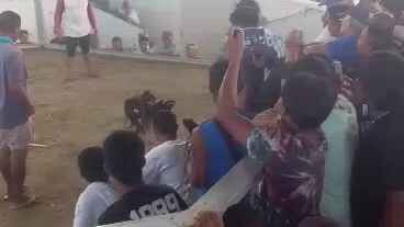 straight sweater talo