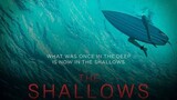the shallows 2016 hd (thriller)