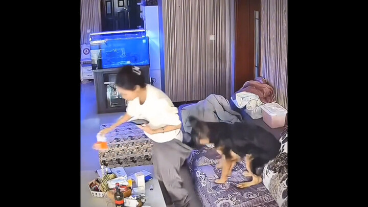 "Annual Awards for Despicable Animal Behaviors"