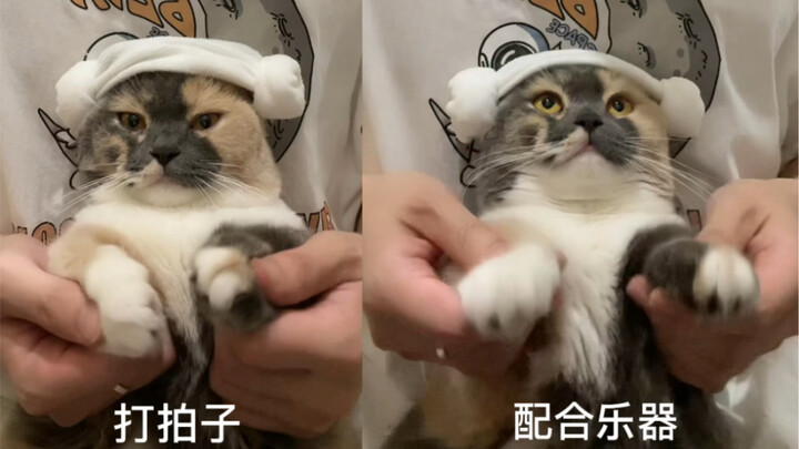 Pembelajaran Karaoke oleh Xiao Mui Mao