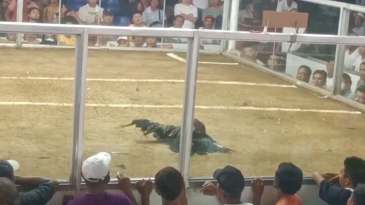 pila bulik d na bumalik lost