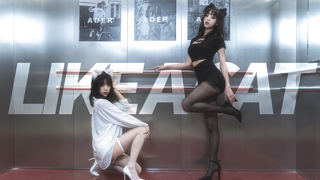 【舞小喵】LIKE A CAT♡猫步轻俏 选择黑猫还是白猫?