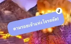 ตามรอยเจ้าแห่งโจรสลัด
