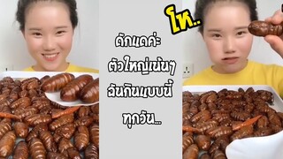 รวมคลิปตลกๆ : โรตีดิบหลบไป…เราจะมากินดักเเด้ดิบกัน!!