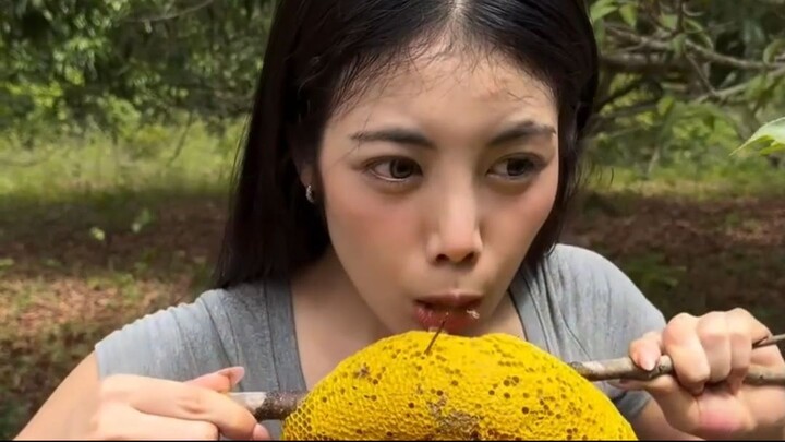 ผึ้งป่า ของหวานจากธรรมชาติ