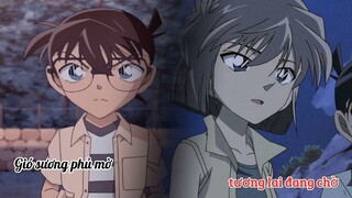 Conan X Haibara 💕🌸[OTP]